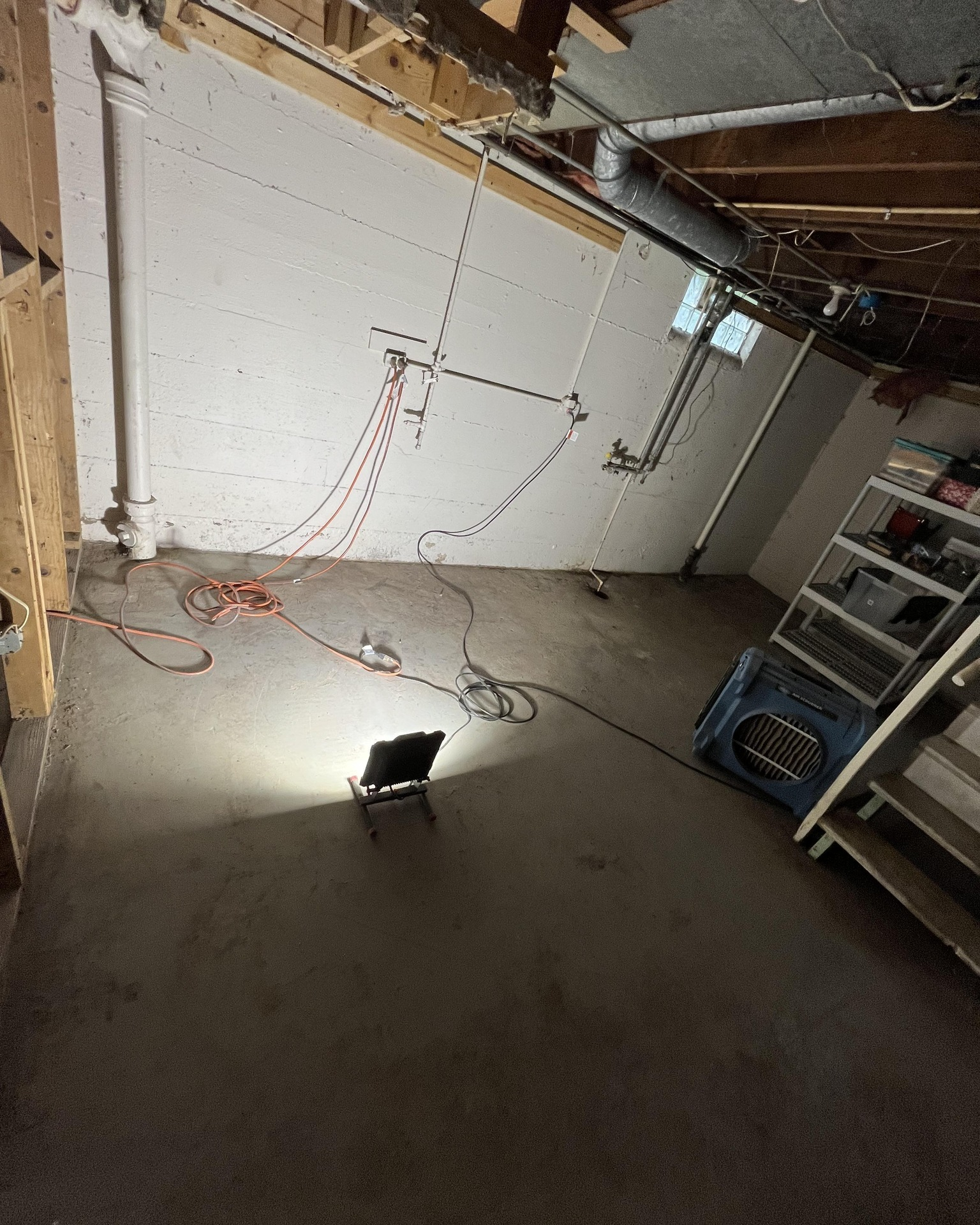 Basement cleanup