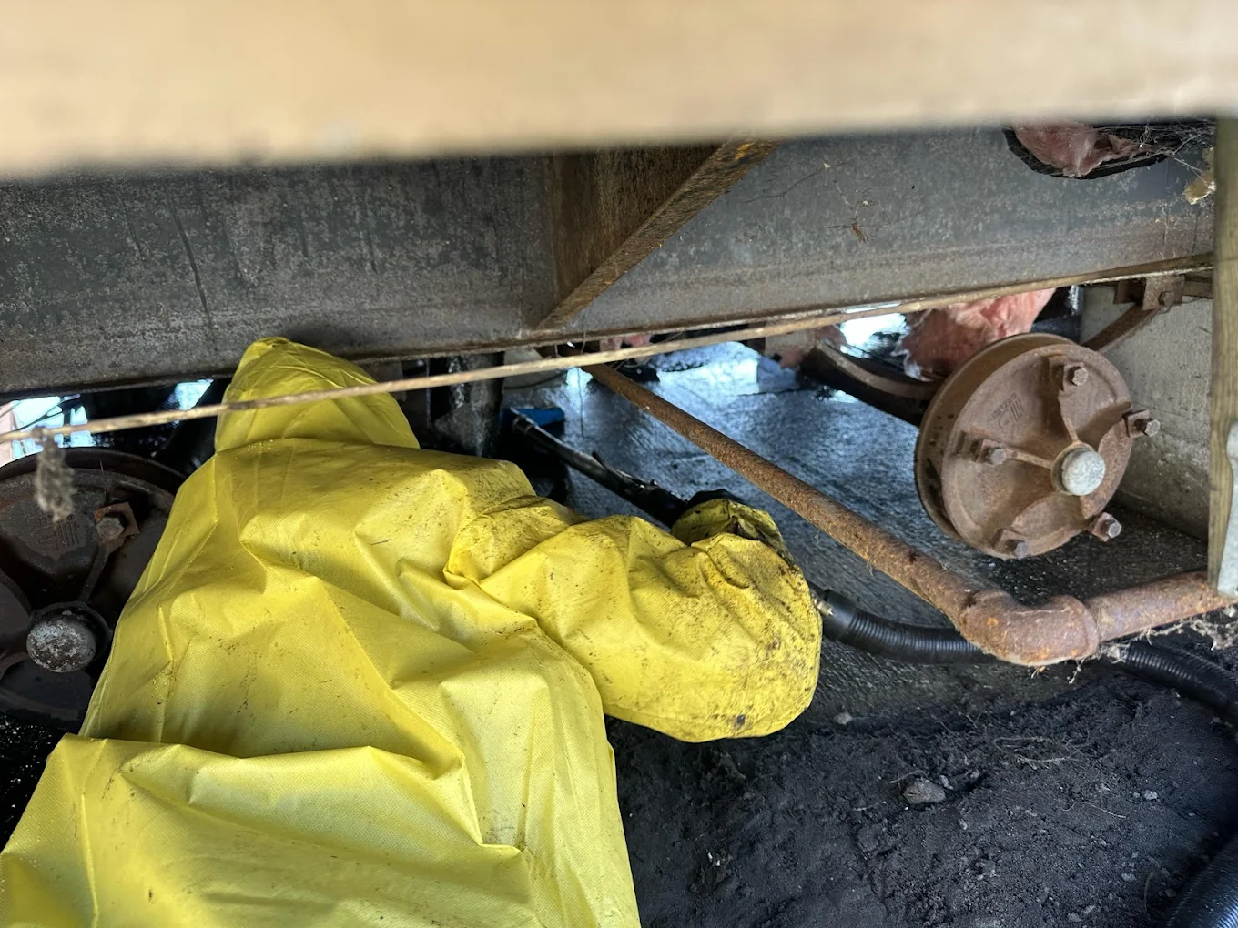 Mold remediation